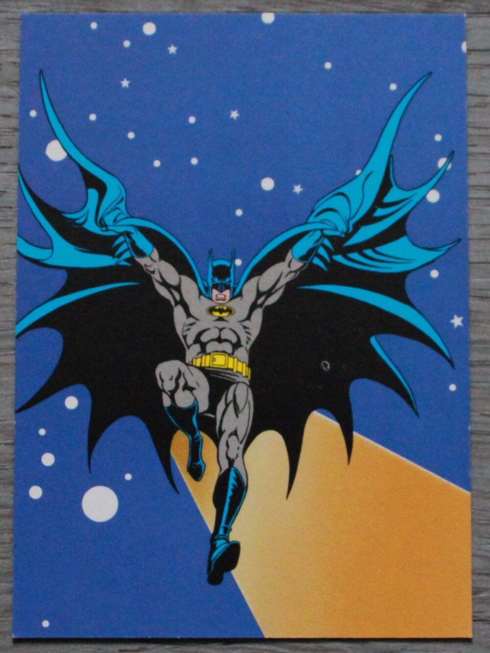 Vintage DC Stars (w/ Skybox) 1994 Trading Card
